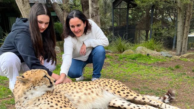 Mercedes and Evie in the cheetah enclosure at Jamala Wildlife Lodge.