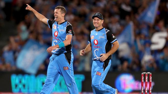 ADELAIDE, AUSTRALIA - DECEMBER 31: Peter Siddle of the Strikers celebrates the wicket of Joe Root of the Thunder during the Big Bash League match between the Adelaide Strikers and the Sydney Thunder at Adelaide Oval on December 31, 2018 in Adelaide, Australia. (Photo by James Elsby/Getty Images)