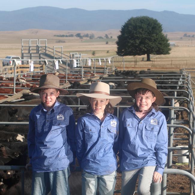 Joshua, William and Oliver Pendergast from Benambra at Hinnomunjie.