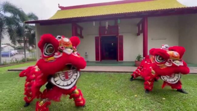 Chung Wah Society will be performing multiple Lion Dances over Chinese New Year