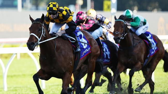 Joliestar toys with her opponents in the Show County Quality at Randwick on Saturday. Photo: Jeremy Ng/Getty Images.