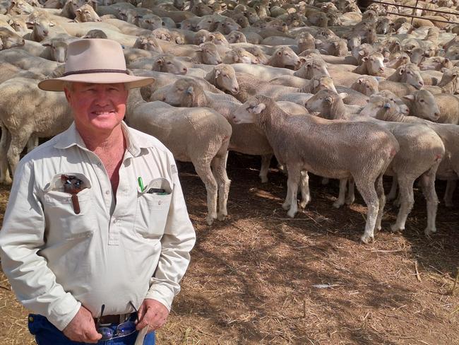 Greg Rogers from Yamba at Booligal, NSW, was selling Merinos at the Hay Meriono sheep sale.