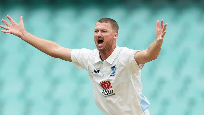 Jackson Bird took his 400th Sheffield Shield wicket. (Photo by Matt King/Getty Images)