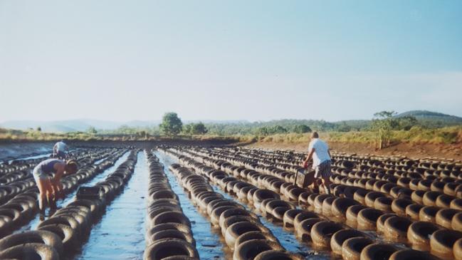 The Beenleigh Crayfish Farm, where Jeffrey Brooks worked and died.