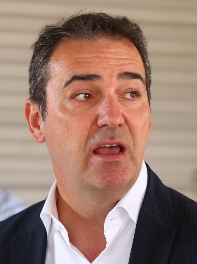 Premier Steven Marshall. Picture: Tait Schmaal