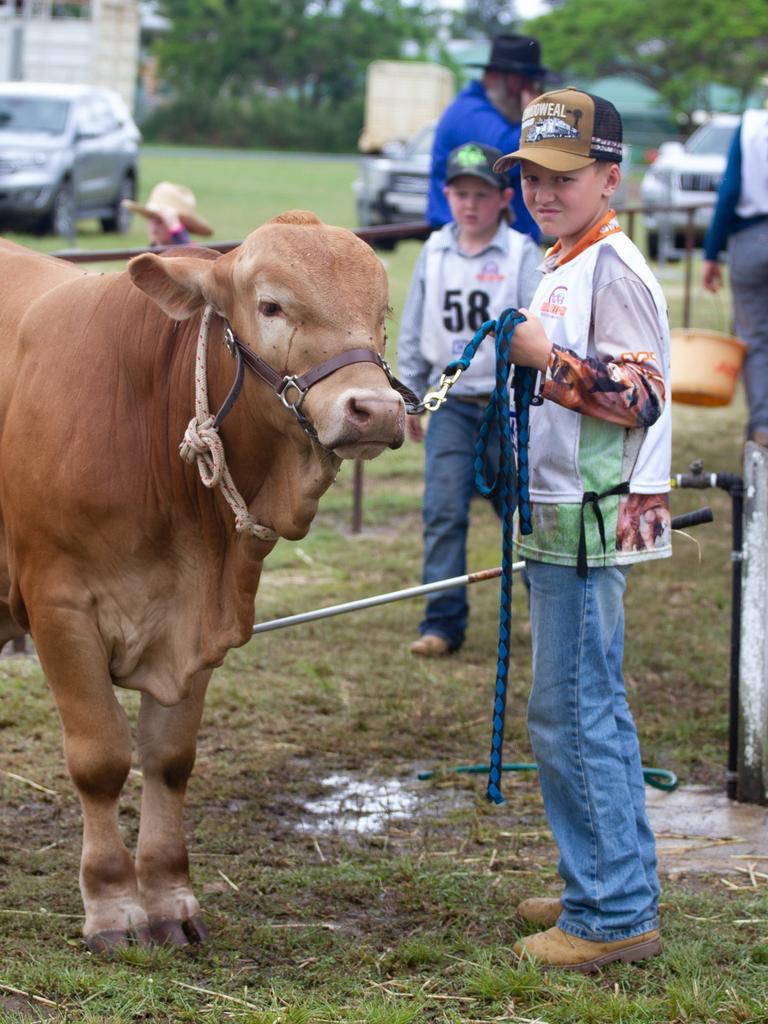 Mac Smith and his cow Vale Vale Fozzie.