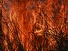Drugged-up miner lit fires near popular camping spot
