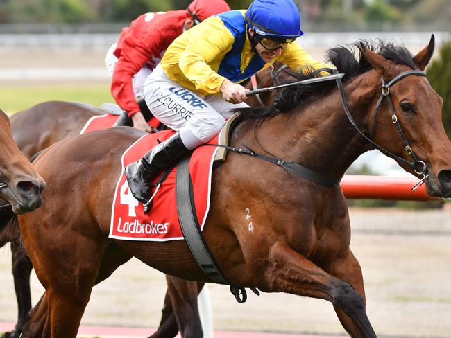 Luke Currie and Roomooz combine to take out the third race. Picture: Getty Images