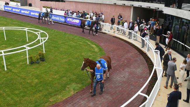 General view of the new mounting yard at Caulfield Picture: Vince Caligiuri/Getty Images