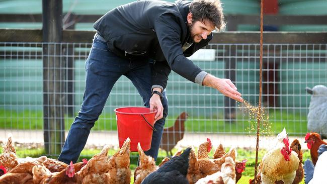 Jarrad Waite at Edgar’s Mission Farm Sanctuary. Picture: Mark Stewart