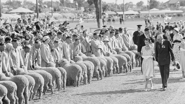 Queen Elizabeth Inspecting Sheep Wagga Wagga in 1954.