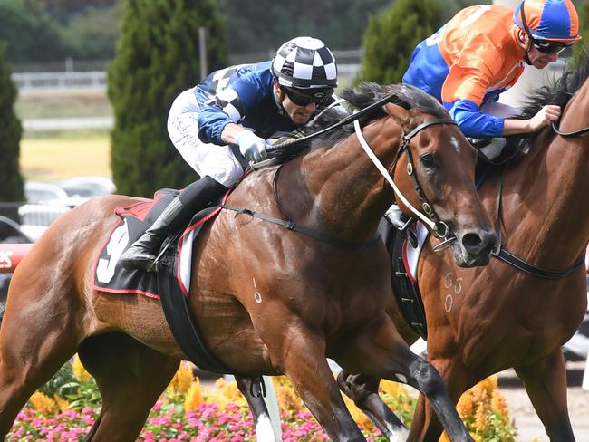 Vibrant Sun ridden by Thomas Stockdale wins the Dynamic Print Group Alexandra Stakes at Moonee Valley Racecourse on March 23, 2024 in Moonee Ponds, Australia. (Photo by Brett Holburt/Racing Photos via Getty Images)