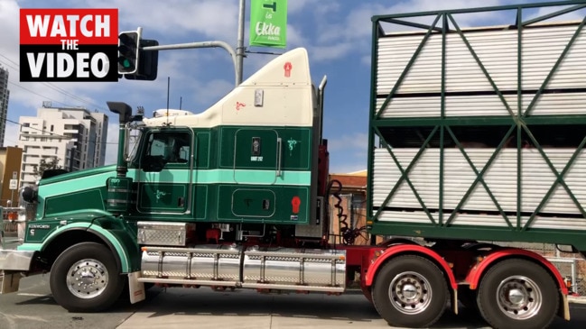 Truckloads of cattle depart empty Ekka Showgrounds