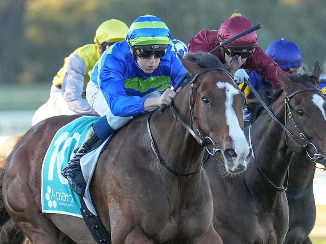 Chorlton Lane (IRE) ridden by Ethan Brown wins the Filkel BM84 Handicap at Bendigo Racecourse on April 13, 2024 in Bendigo, Australia. (Photo by Scott Barbour/Racing Photos via Getty Images)