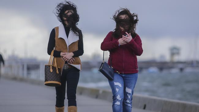 High winds have hit the city. Picture: Wayne Taylor