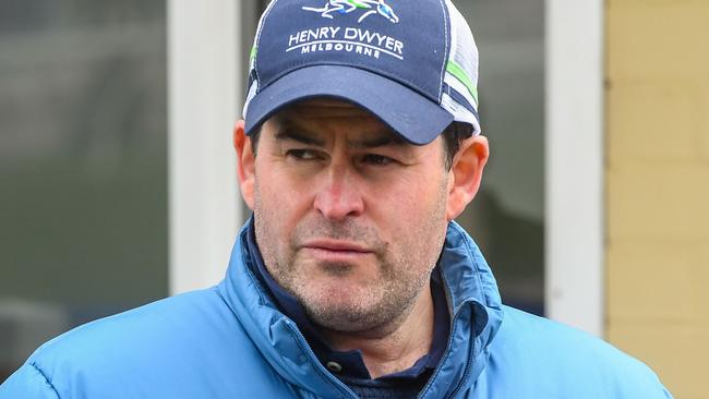 Trainer Henry Dwyer has found the perfect assignment for Electric Impulse at Wednesday’s Warrnambool meeting. Picture: Racing Photos via Getty Images.