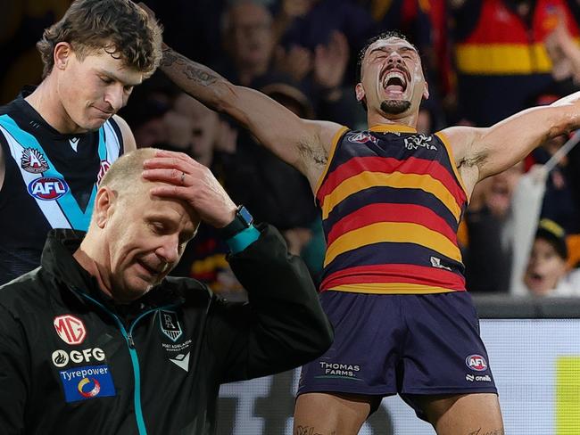 Adelaide Port Adelaide Showdown art