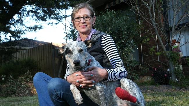 Cathy Whitaker and Sadie who was injured by broken glass at Lillydale Lake. Picture: Hamish Blair