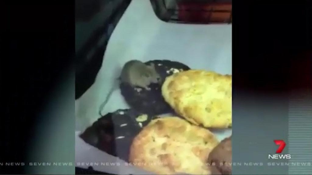 Man finds mouse nibbling on fresh biscuits in Woolworths bakery