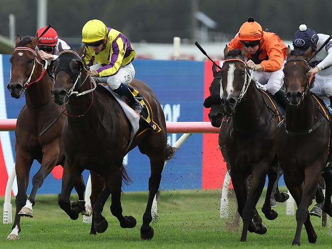 SYDNEY, AUSTRALIA - FEBRUARY 01: Tyler Schiller riding Willaidow win Race 8 Schweppes Southern Cross Stakes during Sydney Racing at Rosehill Gardens on February 01, 2025 in Sydney, Australia. (Photo by Jeremy Ng/Getty Images)