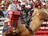 Ky flies high as Top Gun in US rodeo series