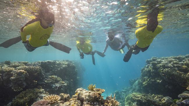 Total domestic overnight visitation to Tropical North Queensland reached a record 2.5 million, up 23.3 per cent over the year and 14.6 per cent higher than 2019 (pre-Covid). Picture: TTNQ