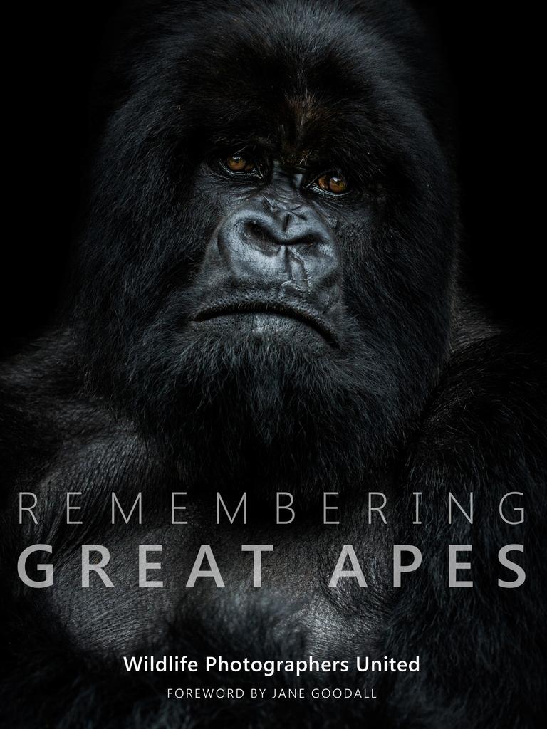 Remembering Great Apes cover picture. Picture: Supplied