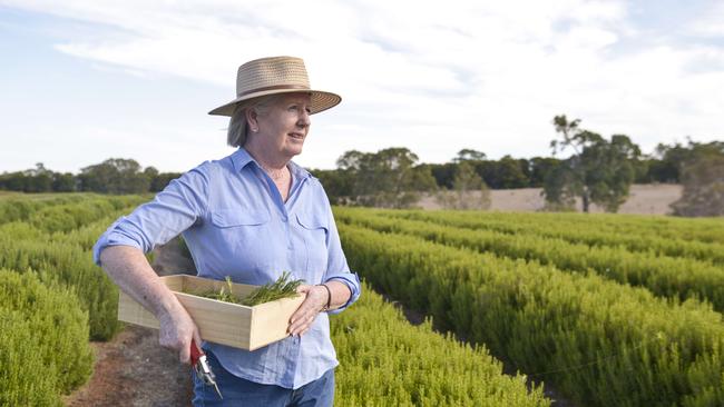 Anita Watt in a rosemary plot at her Balmoral-based Glenelg River Herbs farm.