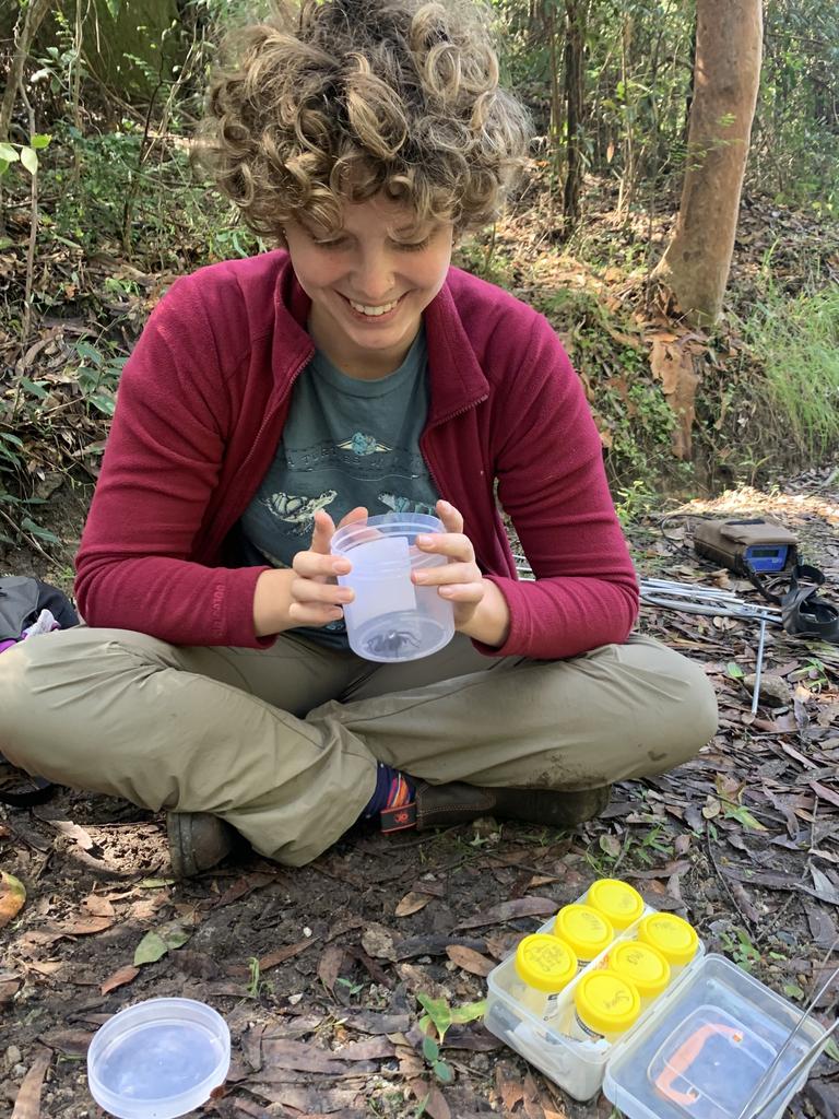 Scientist uses tiny trackers to keep tabs on funnel-web spiders : The  Tribune India