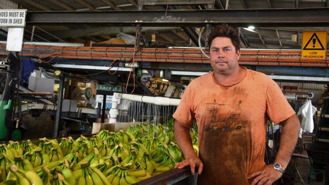 Tully banana grower Cameron Flegler says workers at his packing sheds are waiting for roads to reopen. Photo: John Andersen