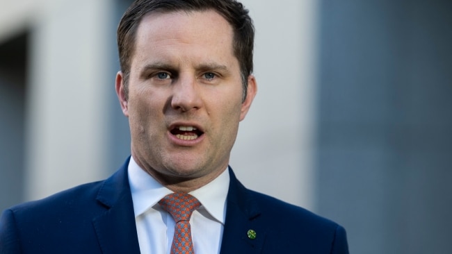Immigration Minister Alex Hawke cancelled the Serb's visa, citing it was on the grounds of "health and good order", the basis of "public interest" and "protecting Australia's border. Picture: NCA NewsWire / Martin Ollman