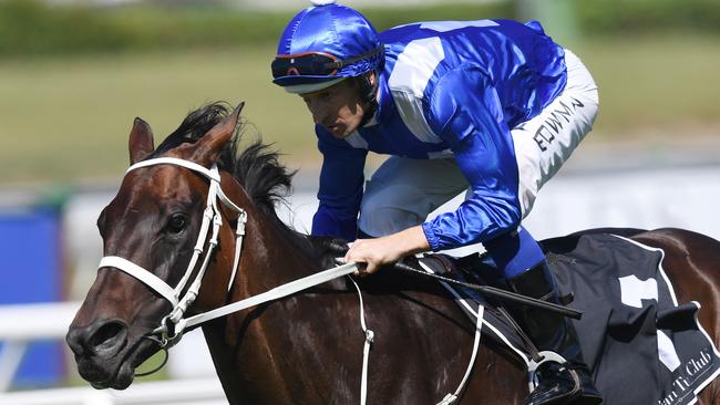 Winx is one win away from equalling Black Caviar’s mark of 25 successive wins. Picture: AAP