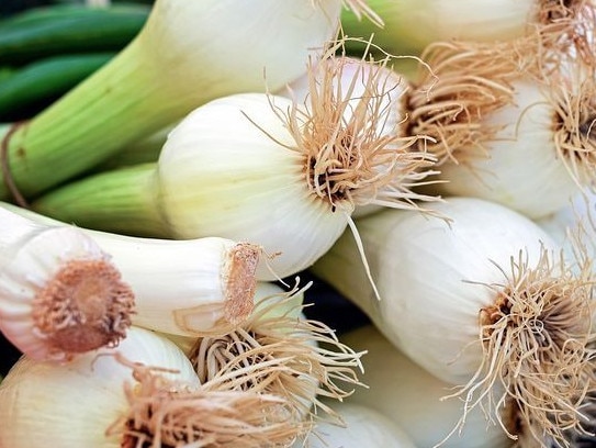 There is confusion over what type of onions these are.