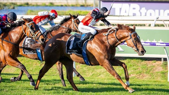 Simon Miller’s much-loved stable stalwart Valour Road. Picture: Western Racepix.