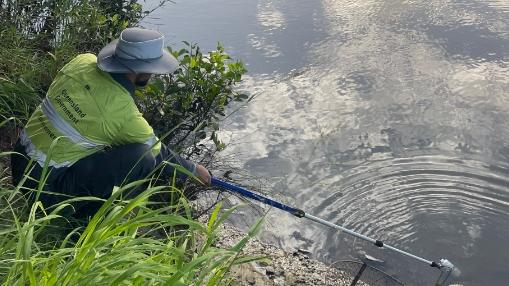 State Environment Department officer undertaking investigation on the Albert River sewer leak.