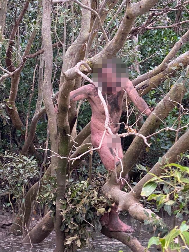 A naked man allegedly on the run from police was found up a tree by two fishos. Picture: Cam Faust