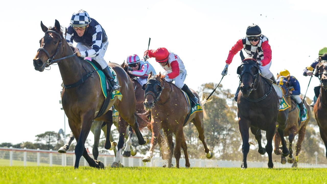 Young Werther ridden by Damien Oliver.