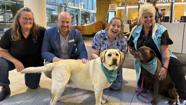 Lisa Farrall co-founder Therapy Paws, Domian Broomhall health department, Alice Barrett nurse, Vanessa Ward Therapy Paws with Lewy (left) and Chilli.