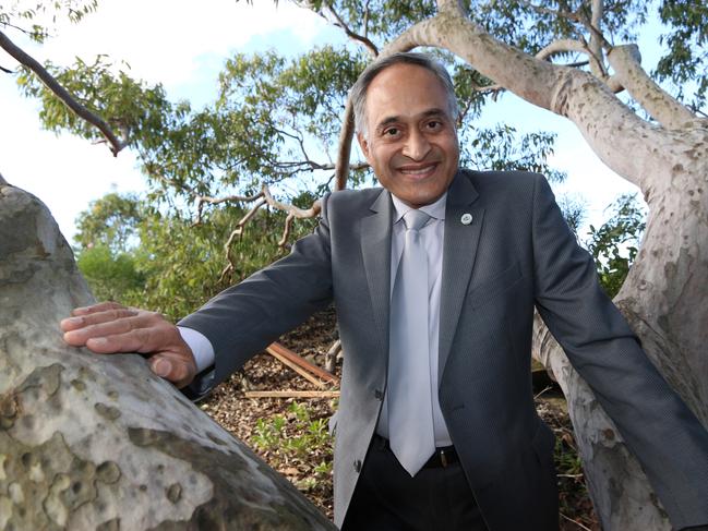 Randwick councillor Noel D'Souza spoke up in favour of the amendments during the panel.