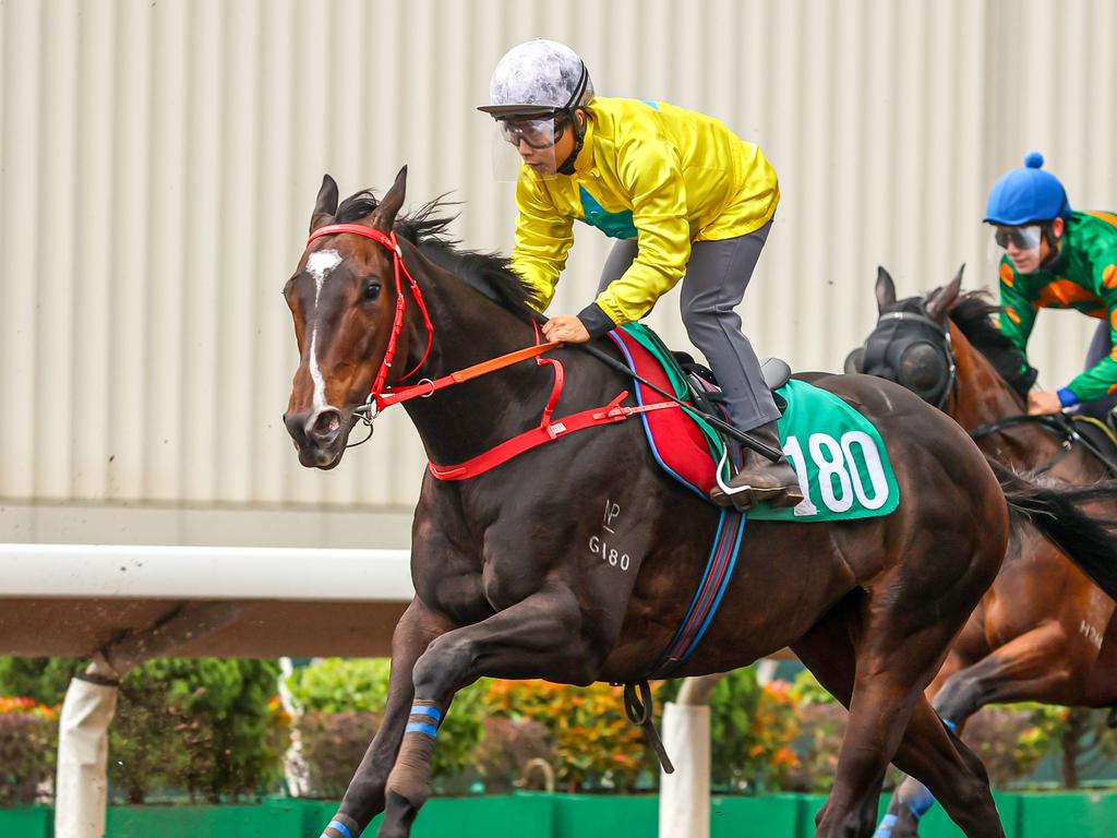 Lucky Sweynesse trials nicely under Matthew Poon at Sha Tin. Picture: HKJC