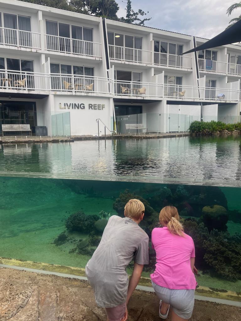 The Living Reef on Daydream Island. Picture: Kara Jung