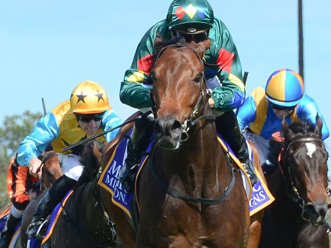 Alligator Blood winning the Vo Rogue Plate at Eagle farm. Picture: Trackside Photography