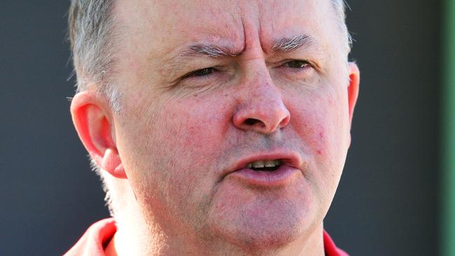 The Townsville Labour Day march along The Strand. Shadow Minister for Transport & Infrastructure, Anthony Albanese. Picture: Zak Simmonds