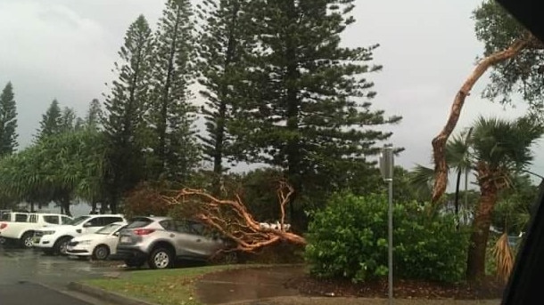 This car was hit by a tree during ferocious storms at Moffat Beach on the Sunshine Coast on Saturday.