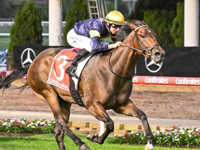 Oak Hill (NZ) ridden by Damian Lane wins the Ladbrokes 55 Second Challenge Heat 10 at Moonee Valley Racecourse on January 24, 2025 in Moonee Ponds, Australia. (Photo by Reg Ryan/Racing Photos)