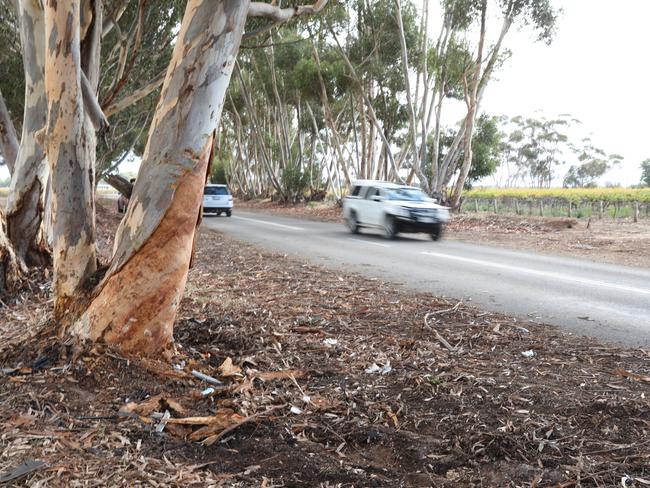 A 17 year old boy from Strathalbyn has died after his car hit a tree on Lake Plains Road at Lake Plains, which is near Langhorne Creek. The impact has stripped the bark from the tree. 9 April 2023. Picture Dean Martin