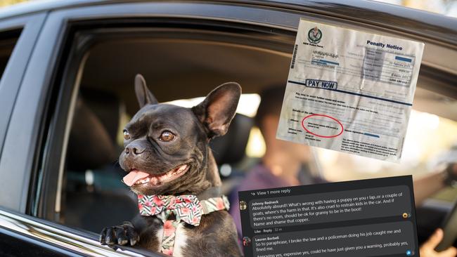 A man has been roasted on facebook after complaining about a fine he received after driving with a dog on his lap.