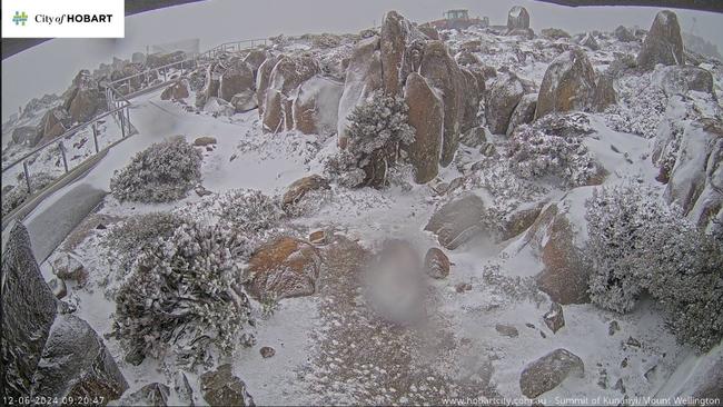 Snowy conditions on the top of kunanyi/Mt Wellington captured on the Hobart City Council webcam.