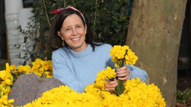 Bek Bainbridge in a sea of daffodils at the Geelong Flower Farm ahead of Daffodil Day. Picture: Alan Barber