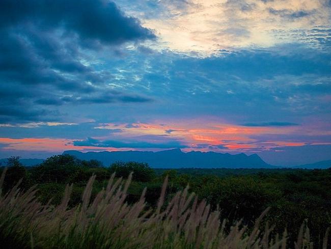 One day to go until we send 10 celebrities into the jungle! #southafrica @imacelebrityau Picture: Dr Chris Brown / Instagram